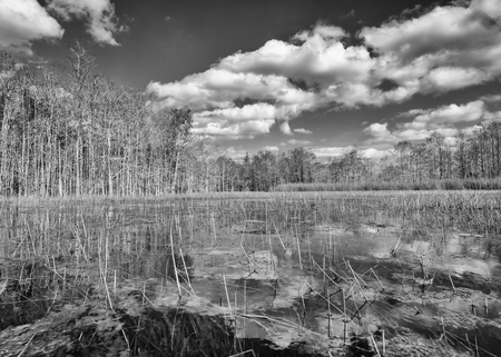 February canoe trip