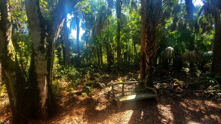 Hog Hammock Trail