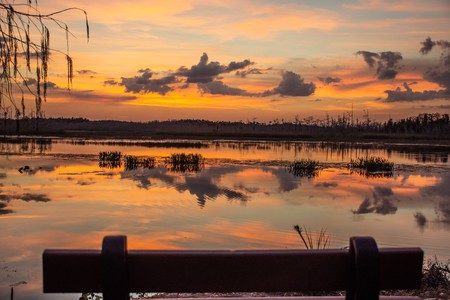 The Sunset Bench