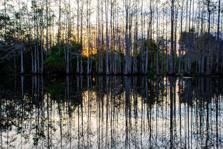 Vertical Sunset