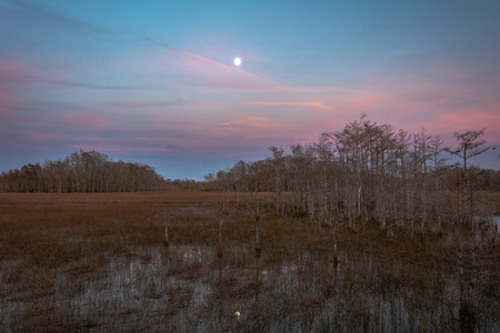 Nightfall at Grassy Waters