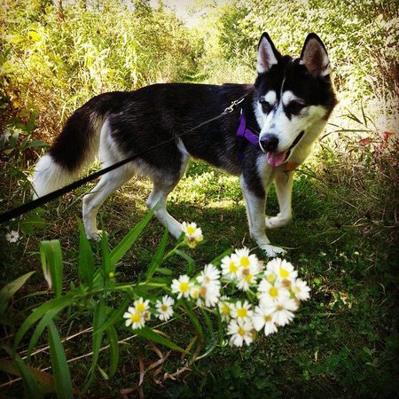 Lucy "LuLu"