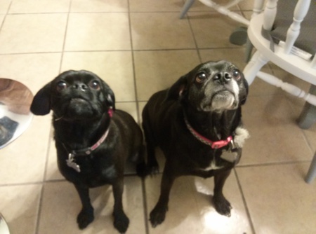 Olivia and Piper