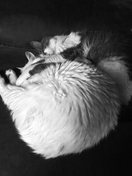 Lenny and Riley