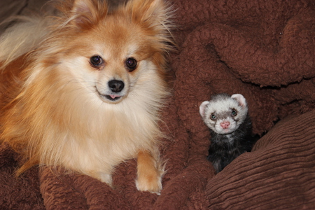 Max & Mav