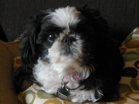 Mitzi