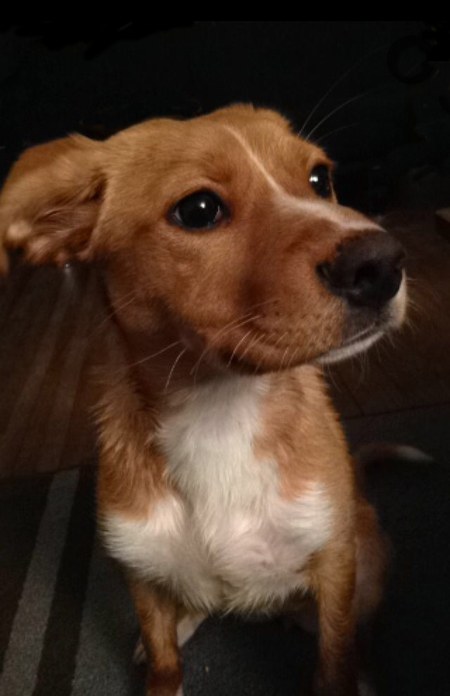 Sadie