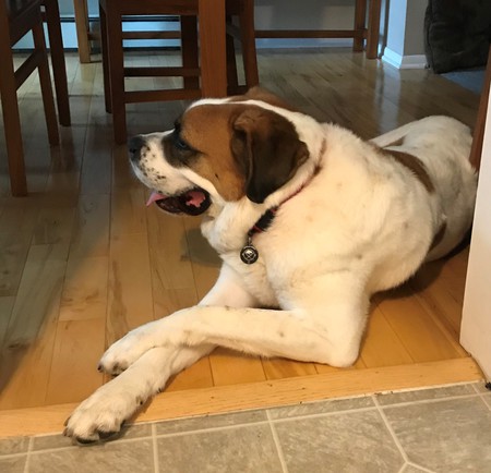 Mia