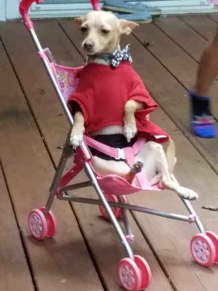 Sal