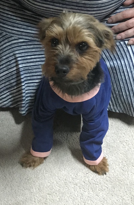 Max
