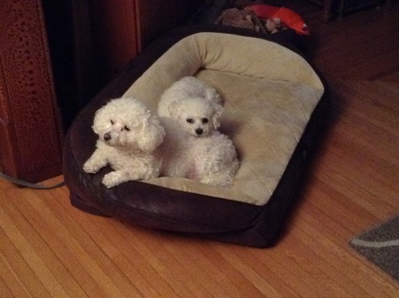 Gracie and Ruby Torruella