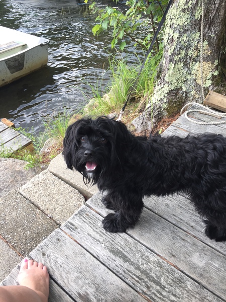 O’Malley