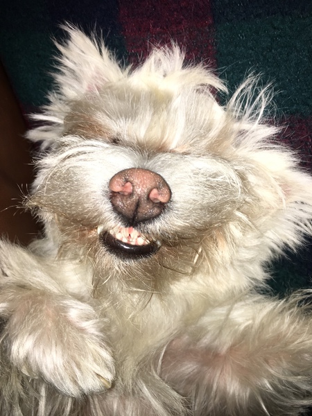 Max