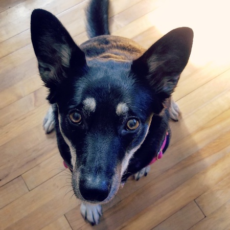 Zoey