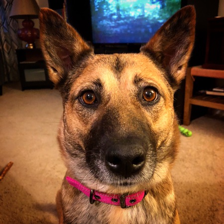 Rosie