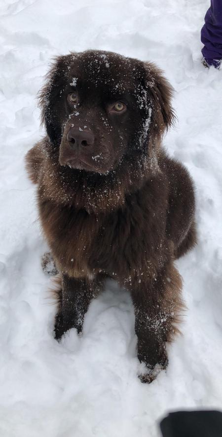 Lucy