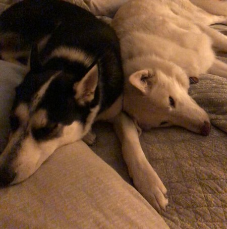 Noah (Hawkeye) and Ruger