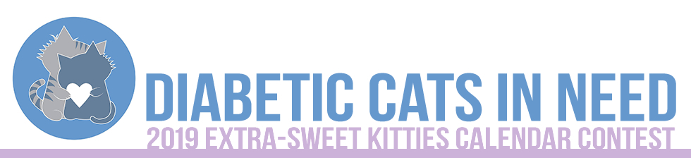 Banner for Diabetic Cats in Need 2019 Extra-Sweet Kitties Calendar Contest