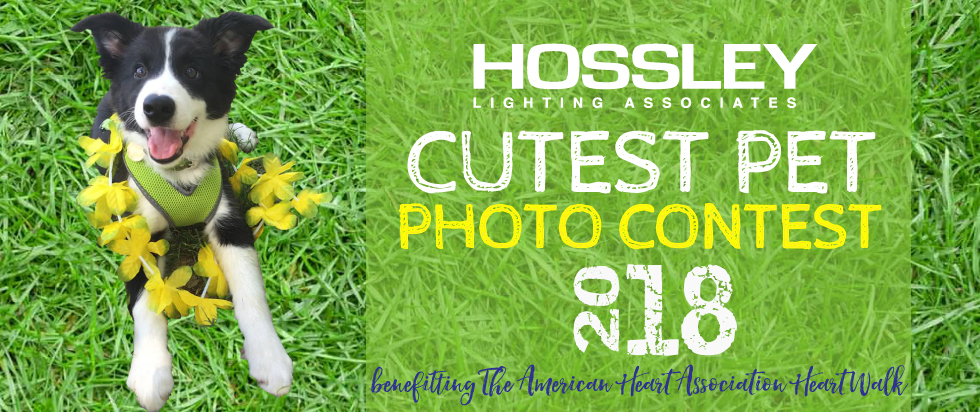 Banner for Hossley's Cutest Pet Contest 2018