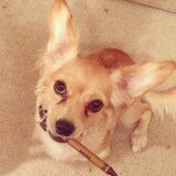 Entry image for Sadie Marie