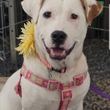 Entry image for Rosie Granger