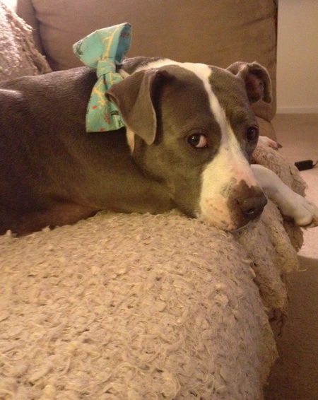 Lucy