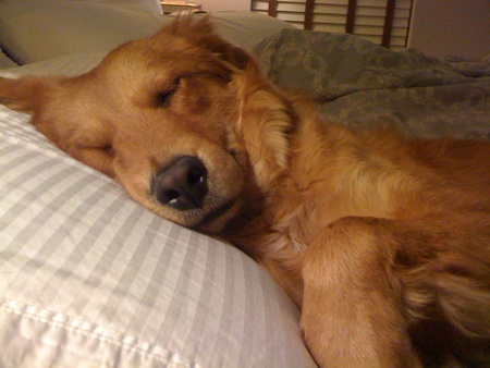 Ollie
