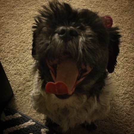 Mabel