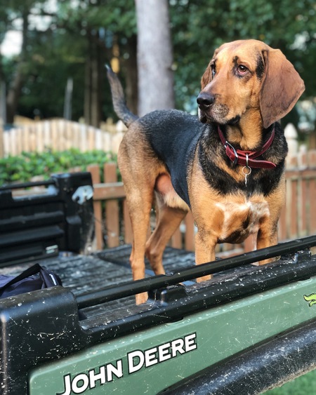 Finnegan