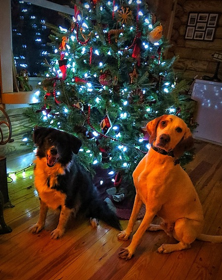 Winnie and Huck