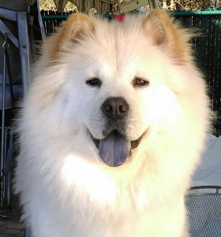 Zimba