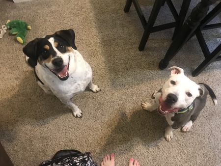 Karson and Lily