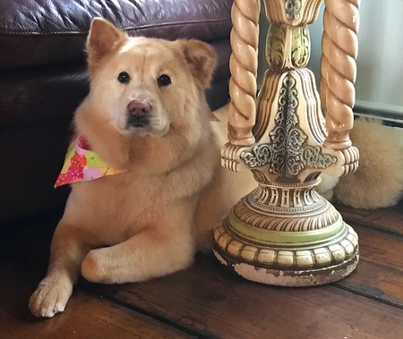 Dakota