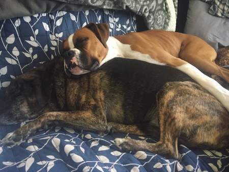 Winnie and Luke 