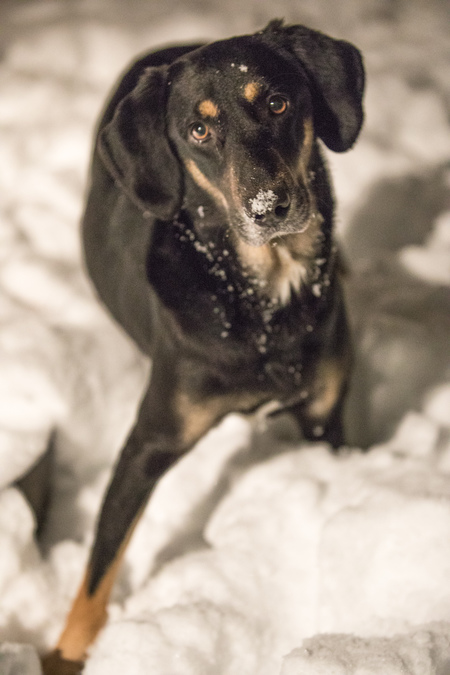 Lucy