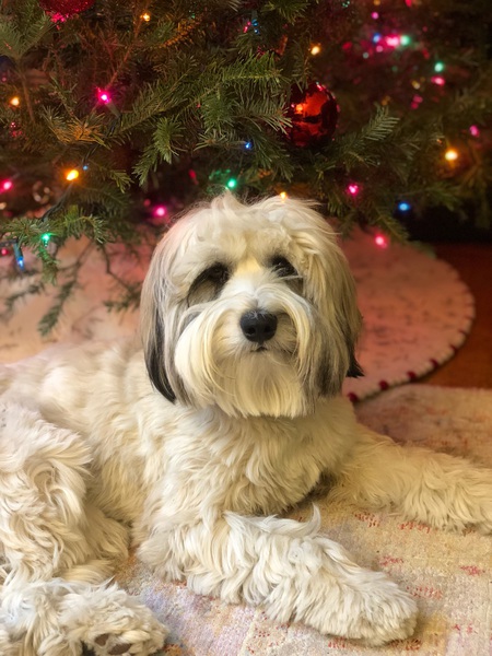 Murphy