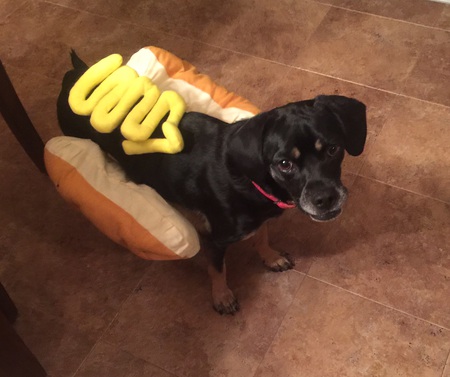 Sadie