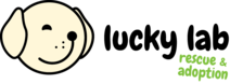 Logo for Lucky Lab Rescue & Adoption 2019 Calendar Photo Contest