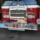 Entry image for Hank