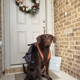 Entry image for Finley