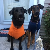 Entry image for Izzy and Clyde