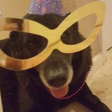 Entry image for Mister