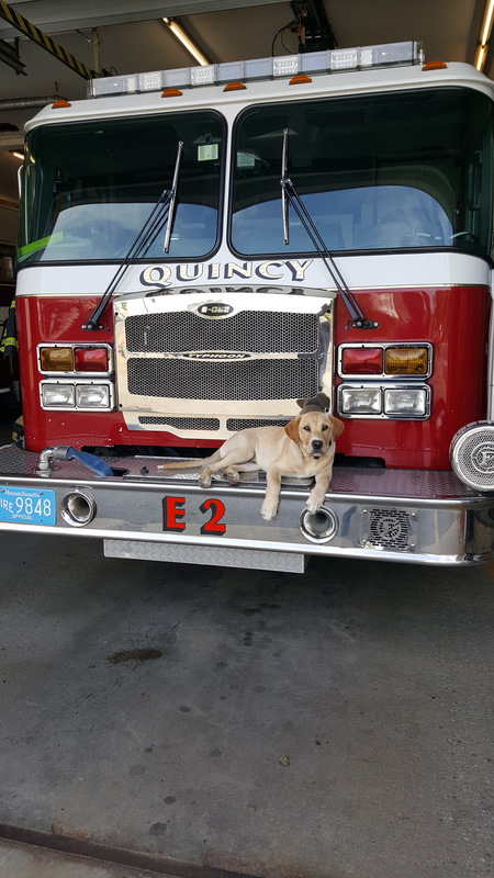 Entry image for Hank. Clicking this image will show a larger photo