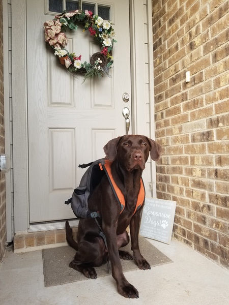 Entry image for Finley. Clicking this image will show a larger photo
