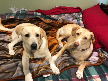 Entry image for Chance and Sandy. Clicking this image will show a larger photo