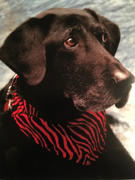Entry image for Cole. Clicking this image will show a larger photo