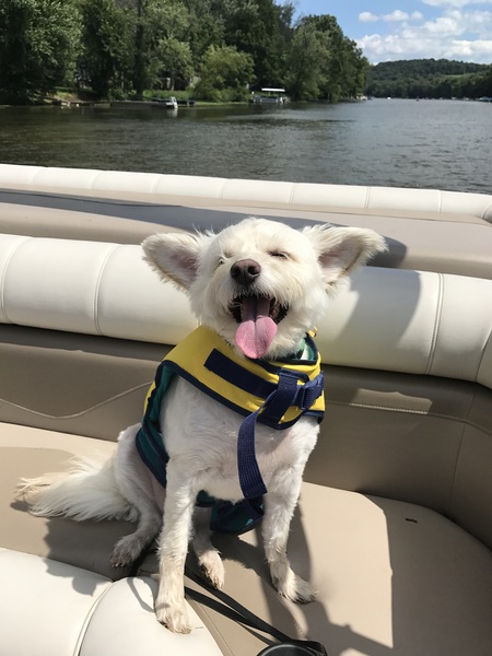 Roscoe