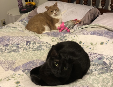 Nubbs & Jezzy