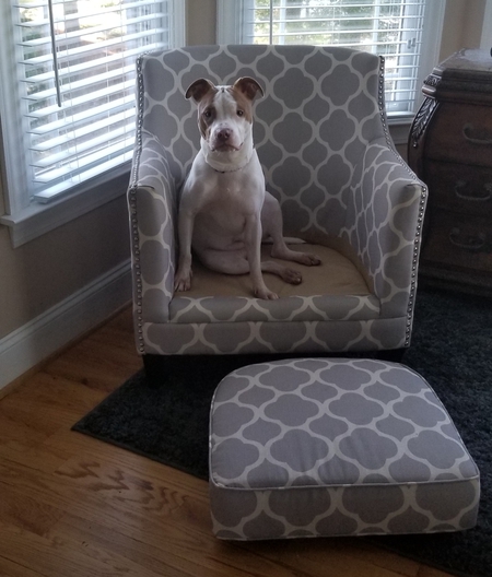 Maggie
