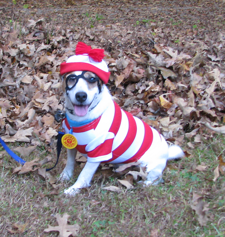 Where's Waldo (or Odeman)